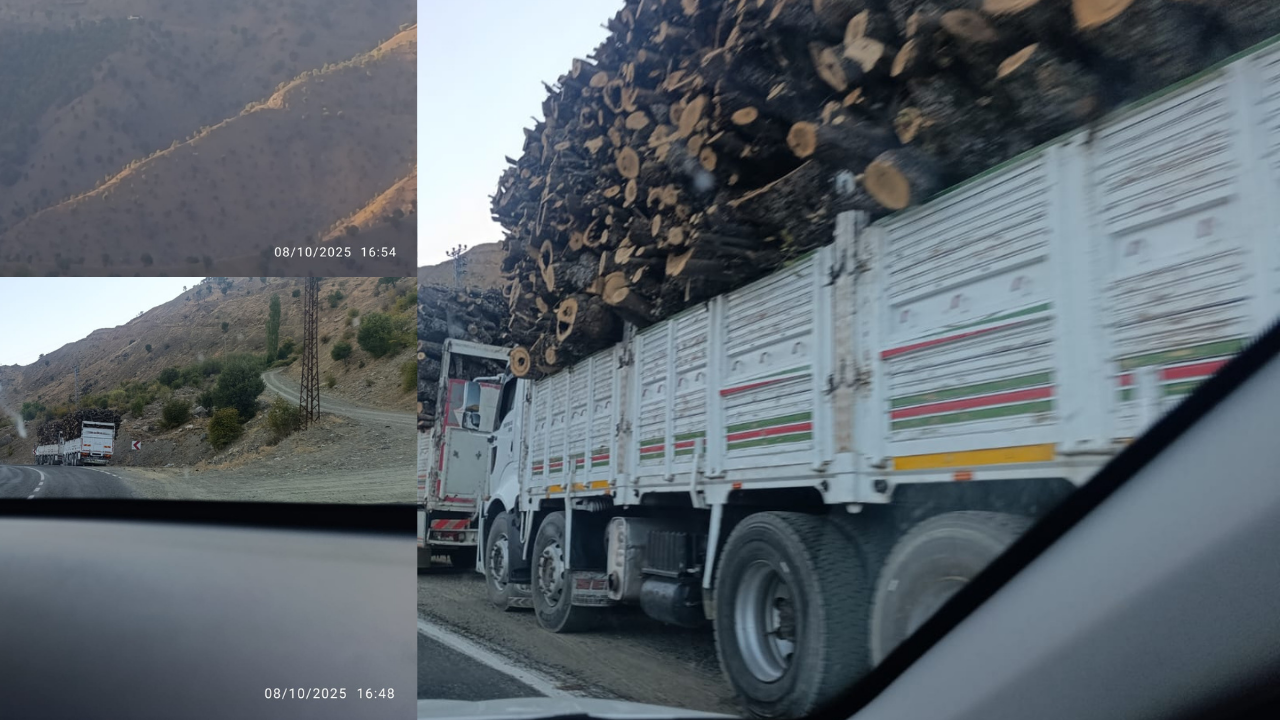 Kulp’ta orman kıyımını belgelemeye çalışan çevre aktivistlerine silahlı saldırı!