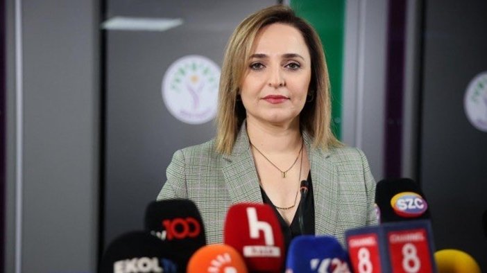 Ayşegül Doğan: Süreç kritik aşamada